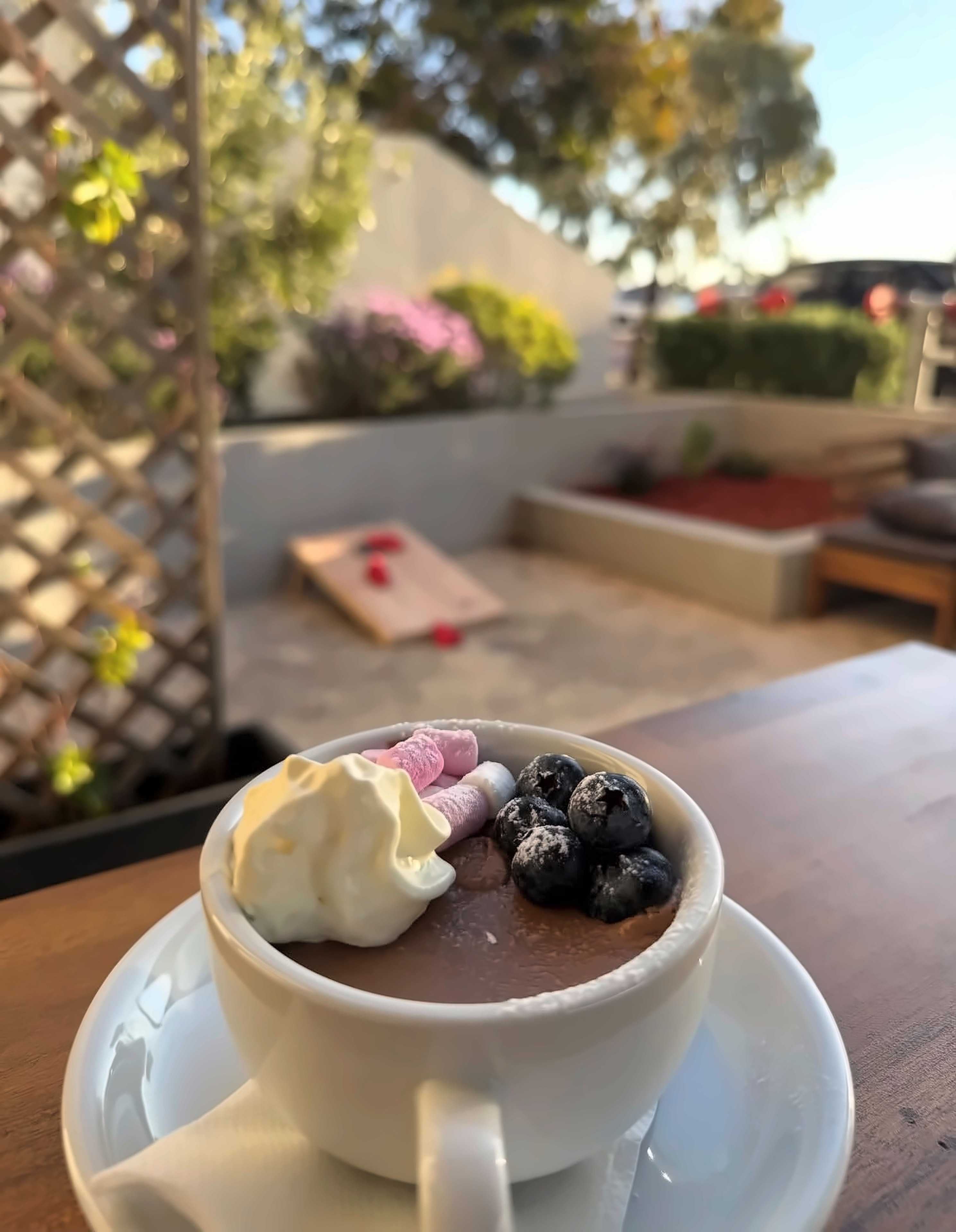 Chocolate mousse topped with cream, marshmallows and blueberries, served in the courtyard at golden hour
